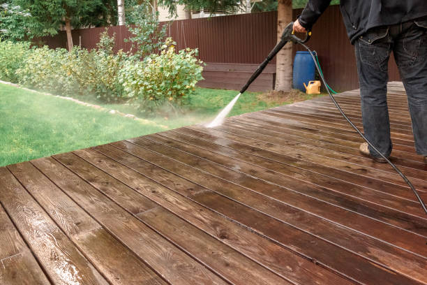 Best Boat and Dock Cleaning  in Willow Oak, FL
