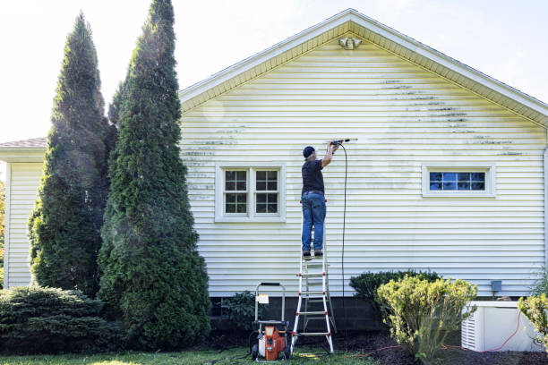 Best Solar Panel Cleaning  in Willow Oak, FL